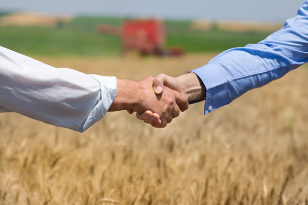 Agricultura de Contrato: uso, cifras y realidad de este mecanismo – PMG |  Business Improvement